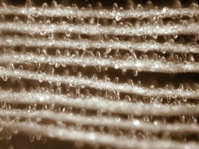 Caresta...penuria e tempi duri.....